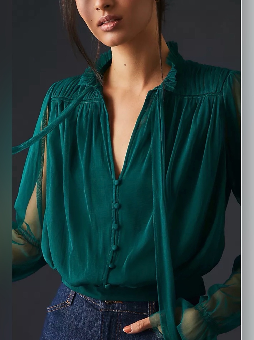 NWT Anthropologie Sheer Tulle Blouse XS